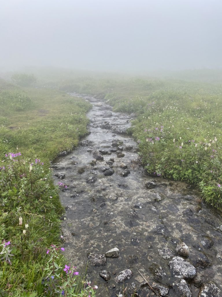 stream in Hatcher's pass with wildflowers lining the bank 